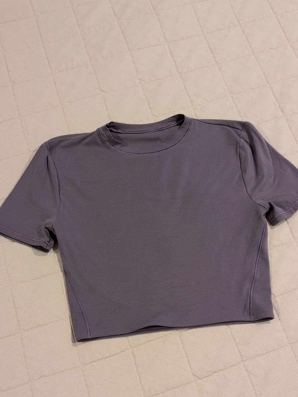 Lululemon Light Purple Short Sleeve Crewneck Cropped Top